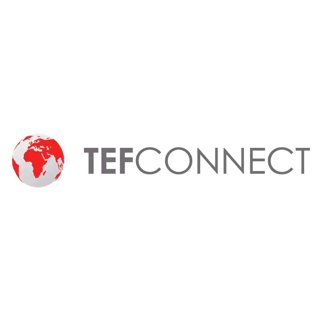 Tony Elumelu Foundation